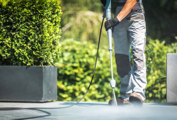 Animal Enclosure Cleaning in Springfield, CO