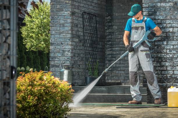 Best Animal Enclosure Cleaning  in Springfield, CO